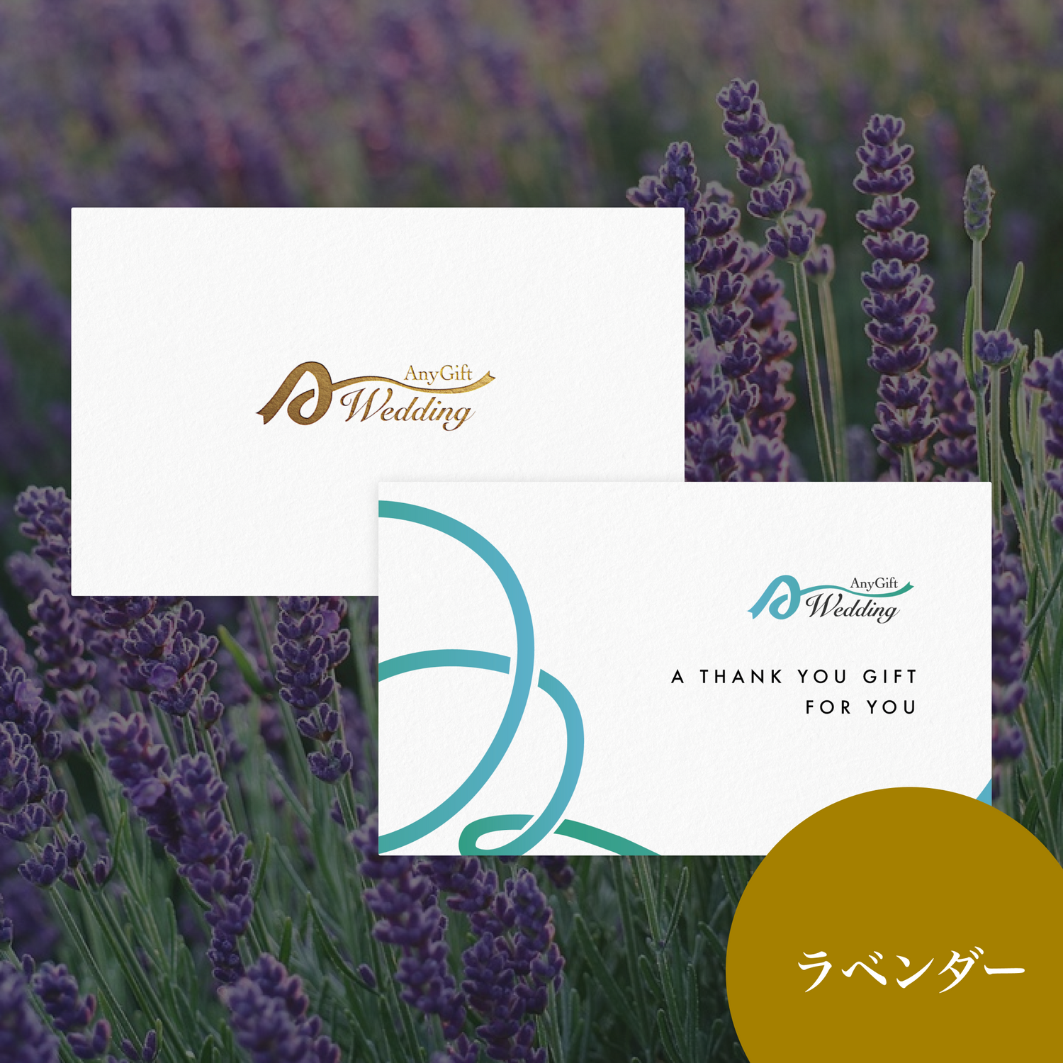 ラベンダー(4,600円プラン)