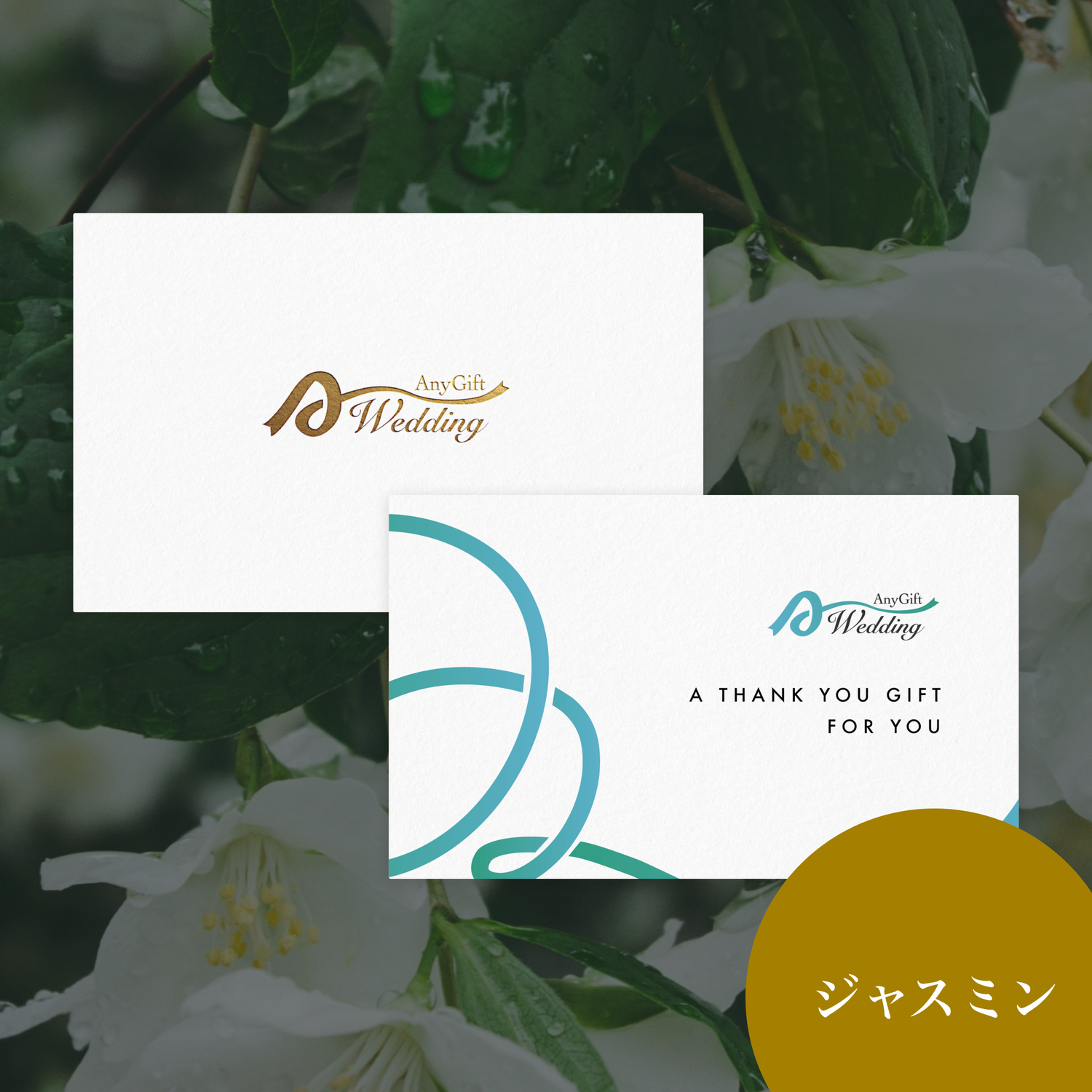 ジャスミン(5,300円プラン)