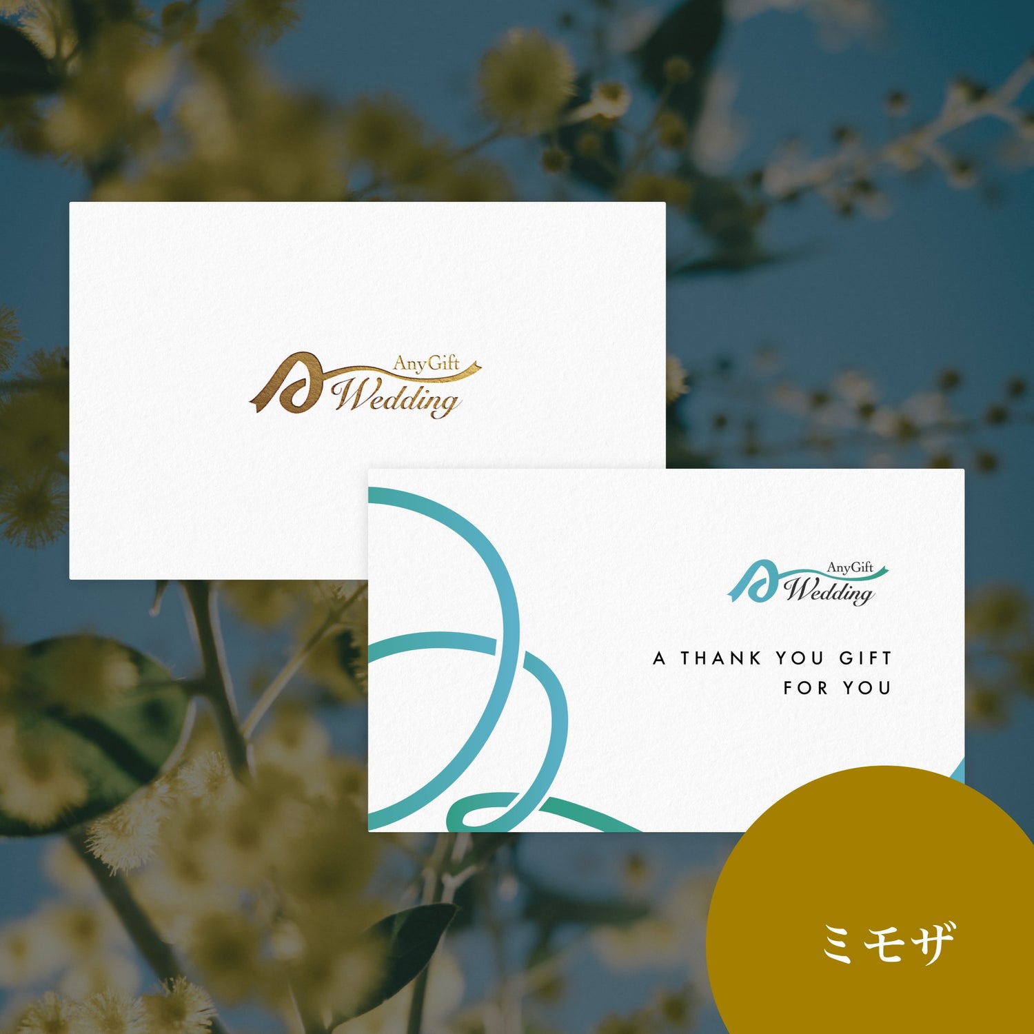 ミモザ(3,500円プラン)