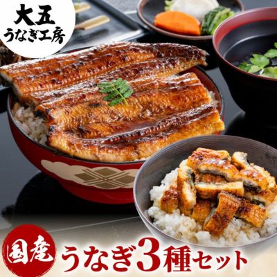 国産うなぎ3種セット 焼き肝串プレゼント【化粧箱・風呂敷付】