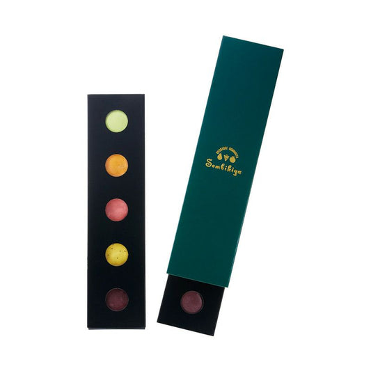 フルーツマカロン10個入(5個入2段重ね)