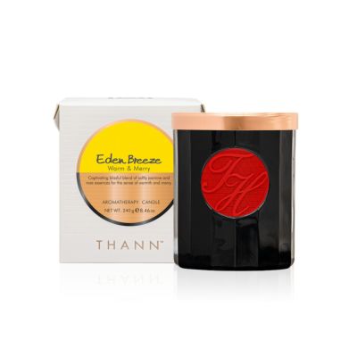 アロマティックキャンドル EB 《エデンブリーズ》