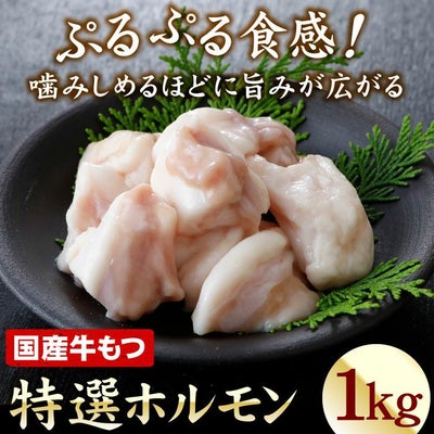 厳選国産牛 特選ホルモン(牛もつ) 1kg(200g×5袋)