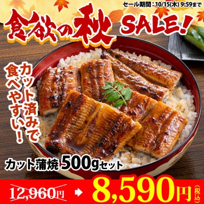 国産うなぎ 蒲焼き 不揃いカット 500gセット