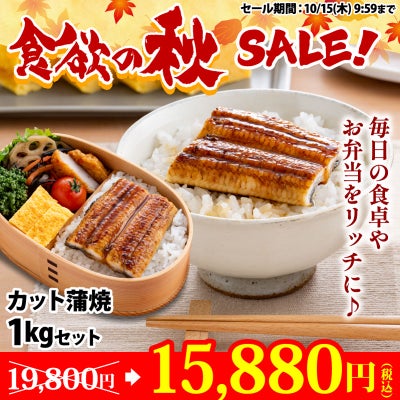 国産うなぎ 蒲焼き 不揃いカット 1kgセット