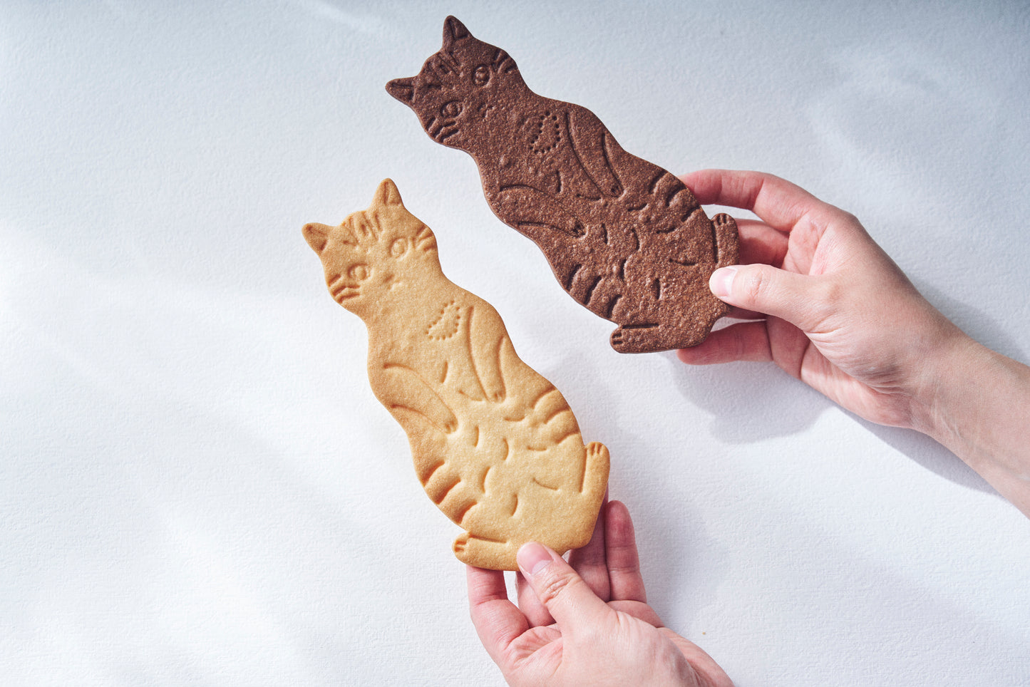 LetterBOX cat cookie ネコクッキーレターボックス For you!オリジナルカード付き