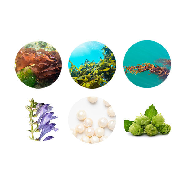 イルコルポ ミネラルボディシャンプー2個セット ギフトボックス付き