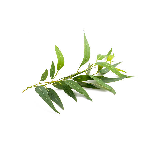 イルコルポ ミネラルバスストーン