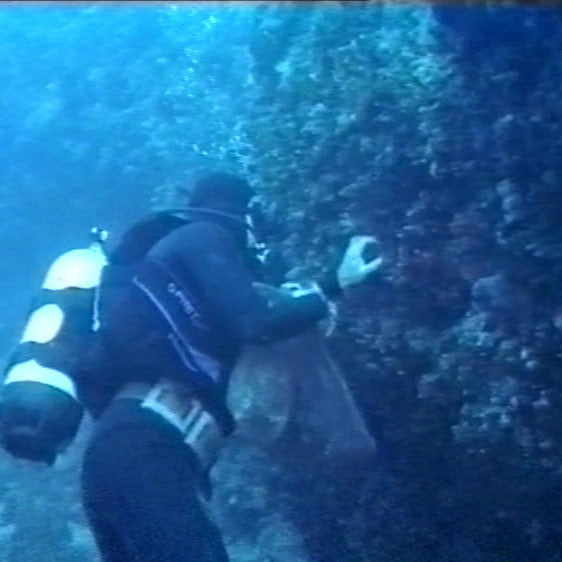 イルコルポ ナチュラルシースポンジ