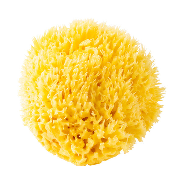 イルコルポ ナチュラルシースポンジ