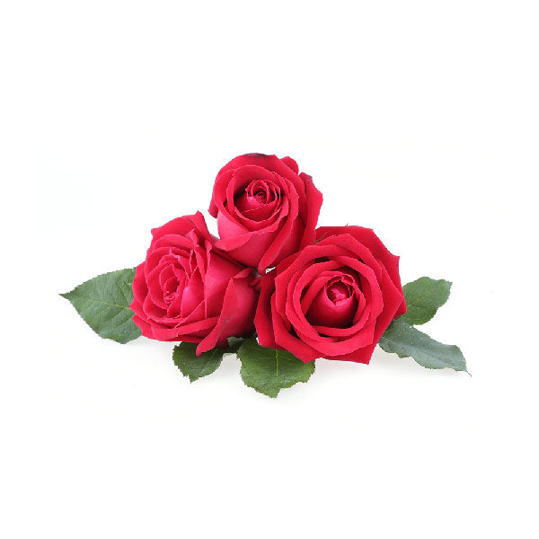 イルコルポ ミネラルバスパウダー スモールサイズセット ギフトボックス付き