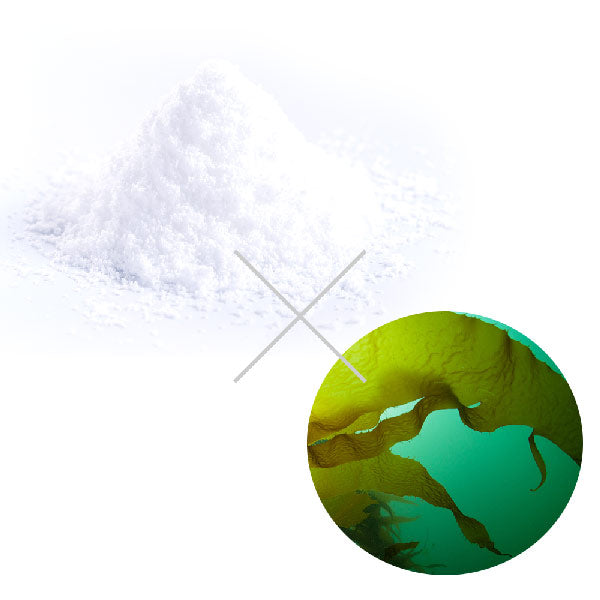 イルコルポ ミネラルフィットスムーサー ギフトボックス付き