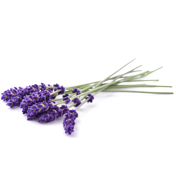 イルコルポ ミネラルバスパウダーオリジナル&アロマコレクション グリーティングギフト・