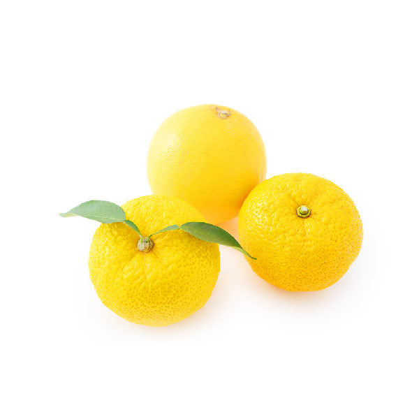 イルコルポ ミネラルバスパウダーオリジナル&アロマコレクション グリーティングギフト・