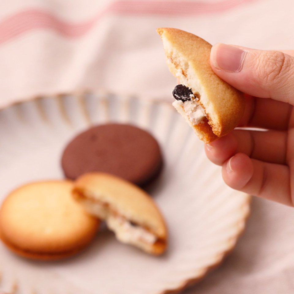 ラング・ド・シャ 3枚入