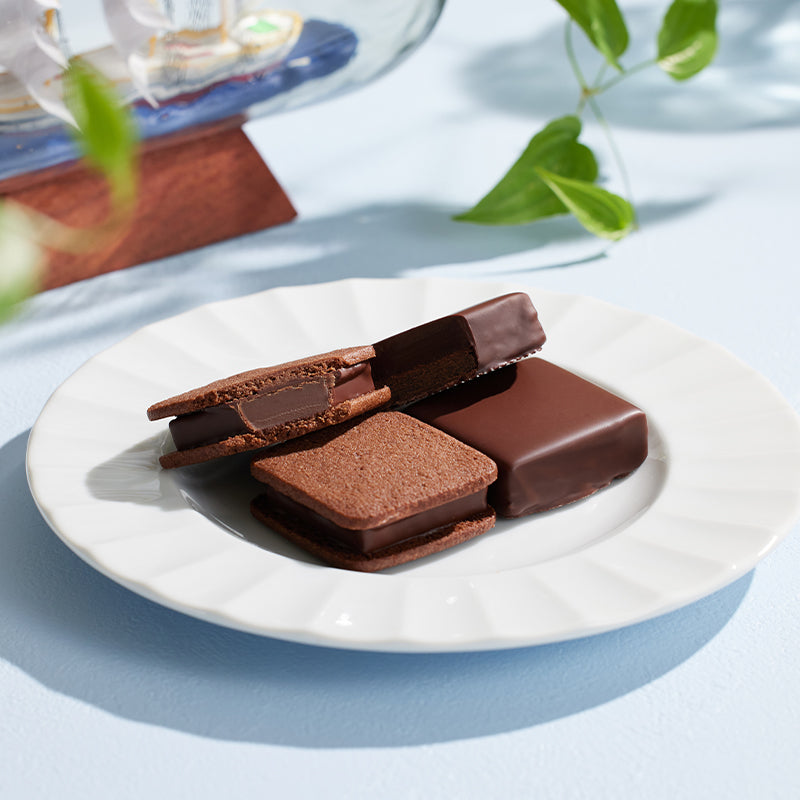 ショーコラ&パリトロ16個入