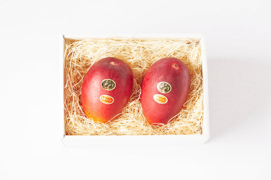 宮崎県 太陽のタマゴ2玉