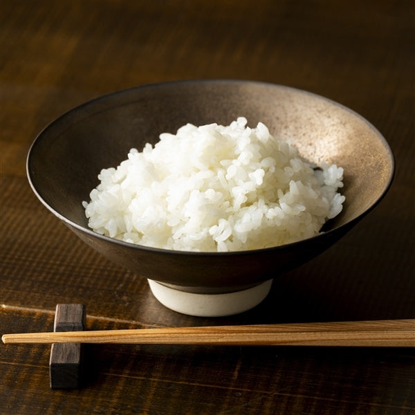 AKOMEYA TOKYO/ 伊万里焼 平飯碗 金泥釉