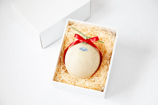 静岡県産 マスクメロン【1玉】