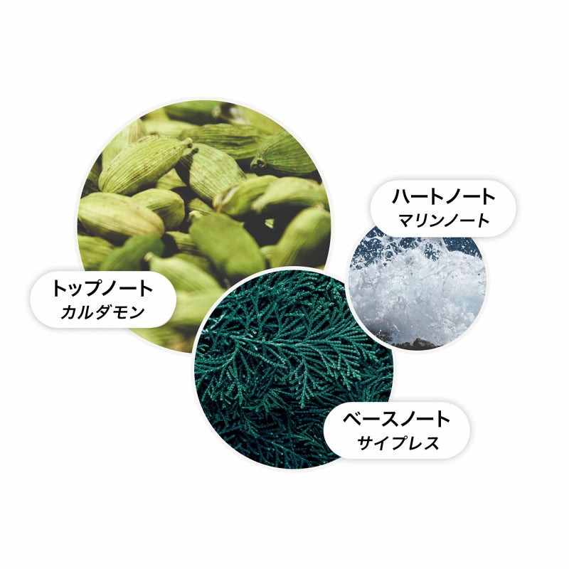 サイプレス&シーフェンネル ハンドローション 300ml