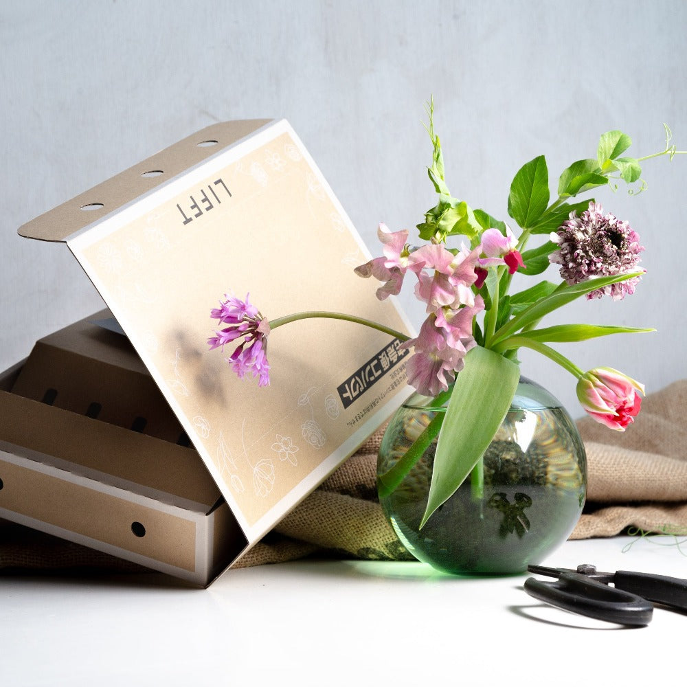 LIFFT 定期便ライト (2週間に1回プラン)※本州(山口県/広島県/島根県/鳥取県/岡山県除く)の方限定