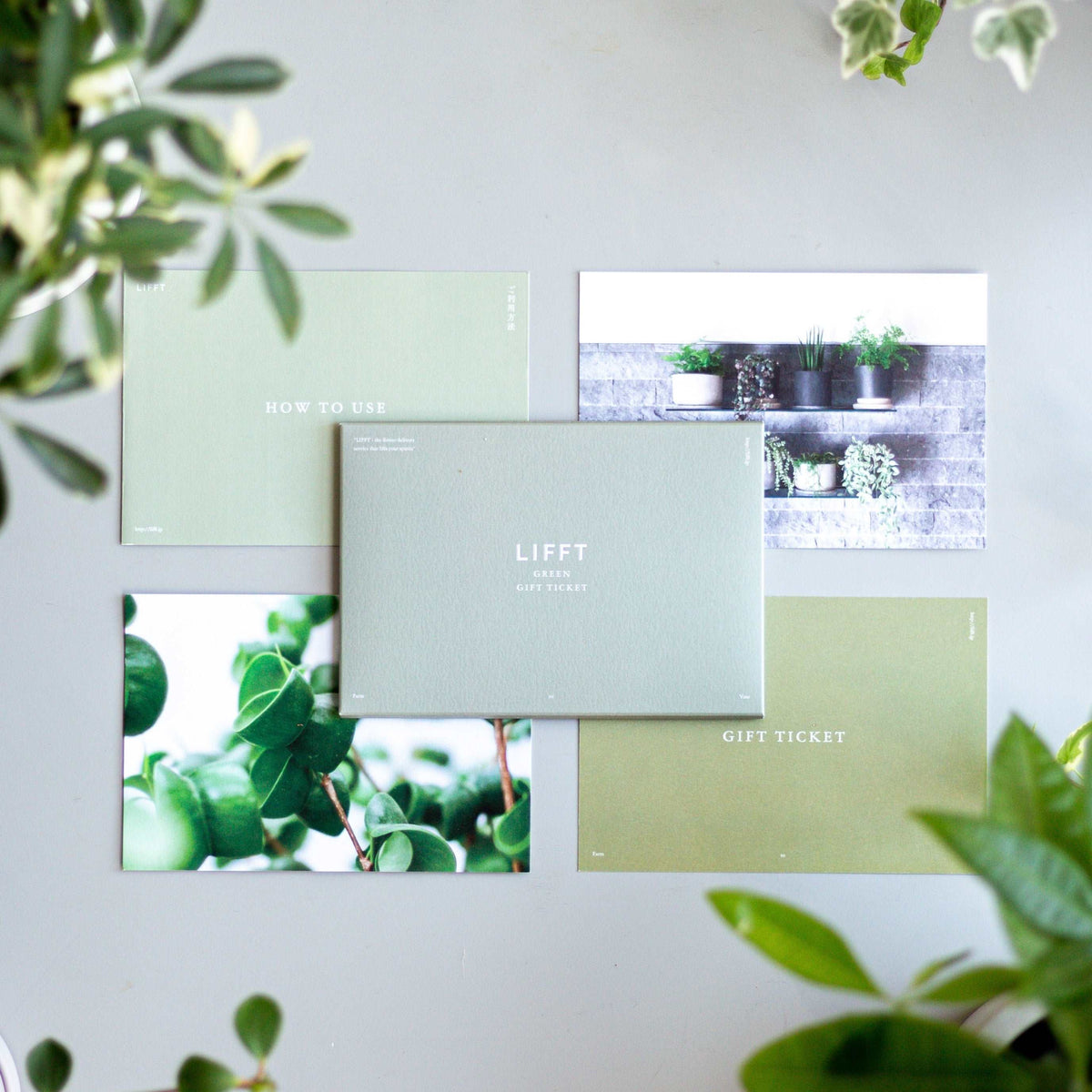LIFFT Green Gift Ticket Plus