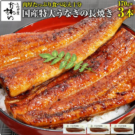 特大サイズの国産うなぎ蒲焼き170g×3本