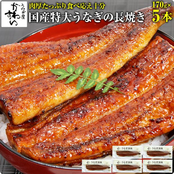 特大サイズの国産うなぎ蒲焼き170g×5本