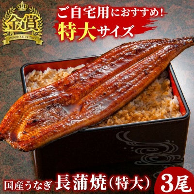 国産うなぎ 長蒲焼(特大) 3尾　ご自宅用簡易箱