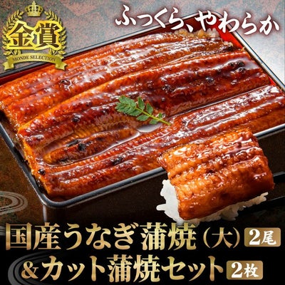 国産うなぎ蒲焼（大）2尾＆カット蒲焼2枚セット