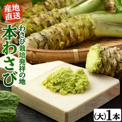 わさび栽培発祥の地「有東木」の本わさび　大サイズ1本（60g～100g）