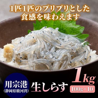 用宗港（静岡県駿河湾）鮮度が命の生しらす　1kg（100g×10）【冷凍】