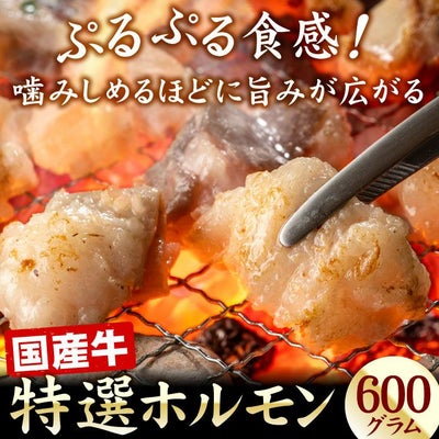 厳選国産牛　特選ホルモン（牛もつ） 600g（200g×3袋）