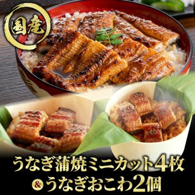 国産うなぎ蒲焼ミニカット2枚＆うなぎおこわ2個【化粧箱付】