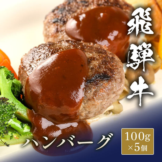 飛騨牛 牛100％ハンバーグ x 5個