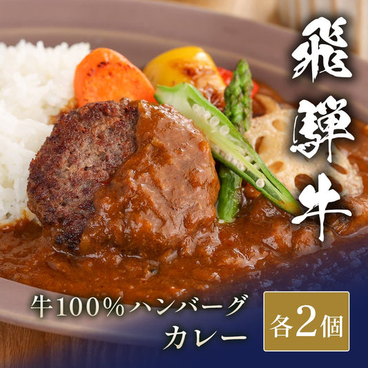 飛騨牛 牛100％ハンバーグ2個＋カレー2袋