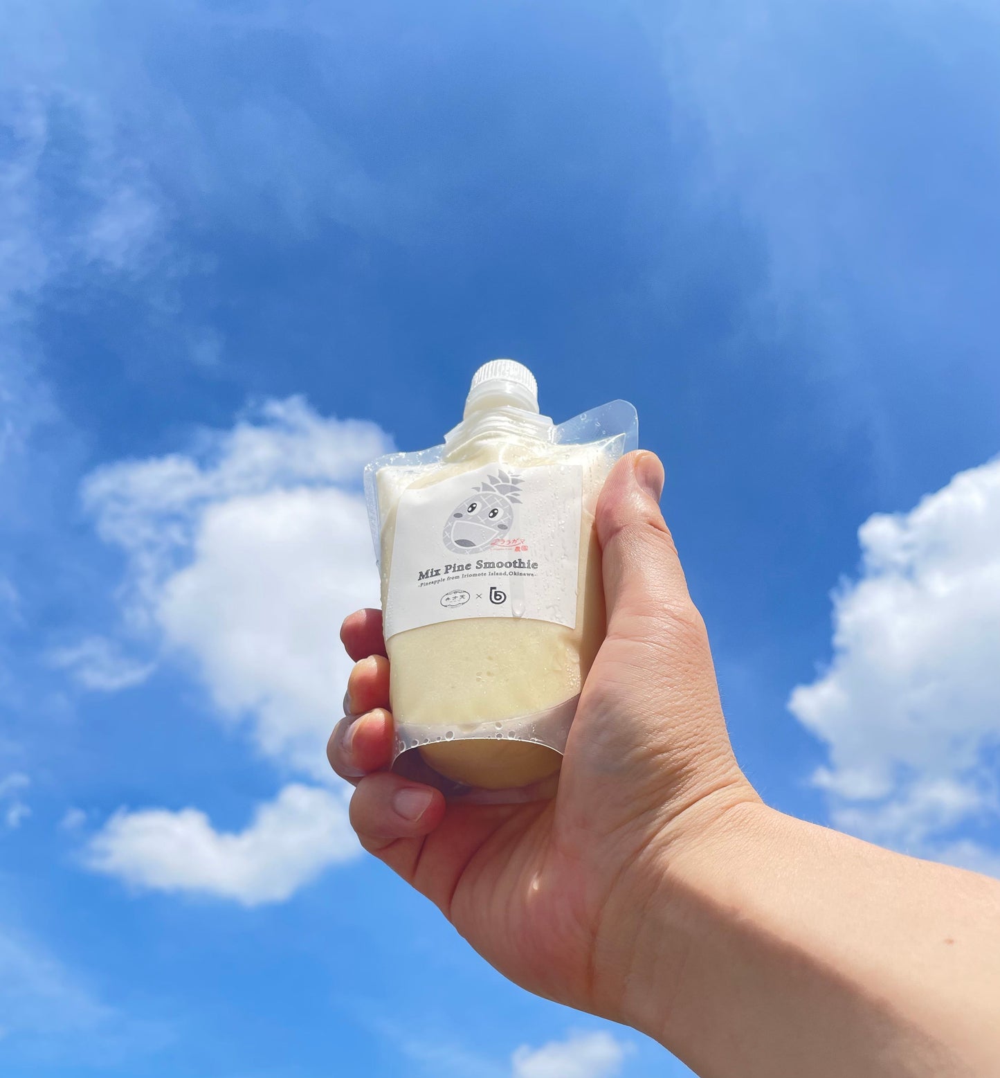 【冷凍】フルーツスムージー パイン 3個セット