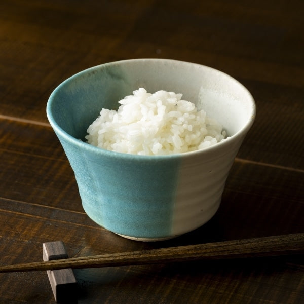 AKOMEYA TOKYO/ 信楽焼 端反碗 青／白土