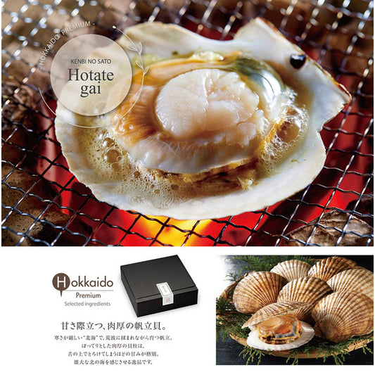 【HOKKAIDO PREMIUM GIFT】ほたて片貝　[MG004]【冷凍便】